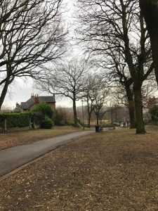 corp oaks outside 17